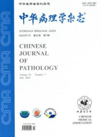 中华病理学